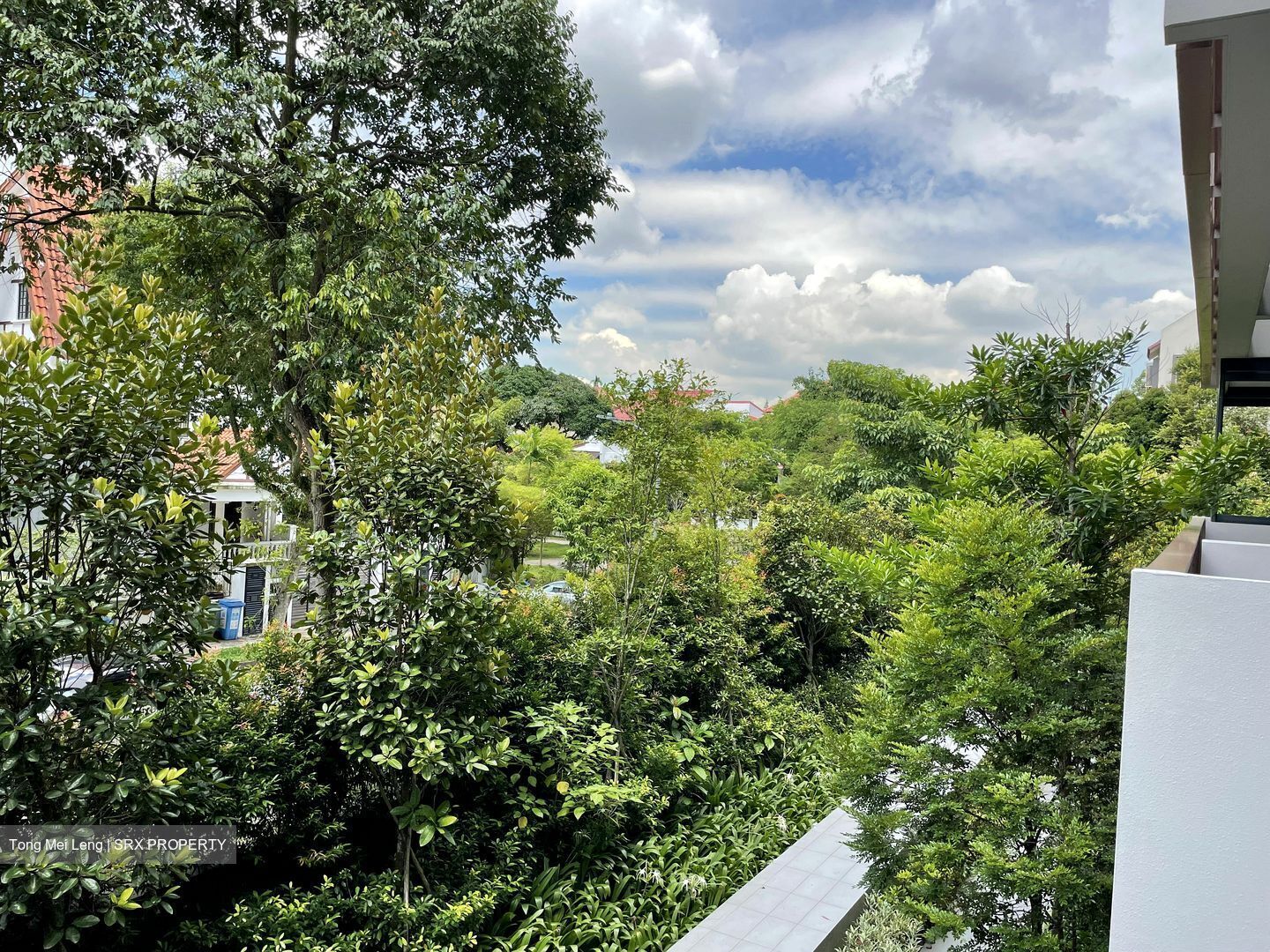 Royalgreen (D10), Condominium #610109671